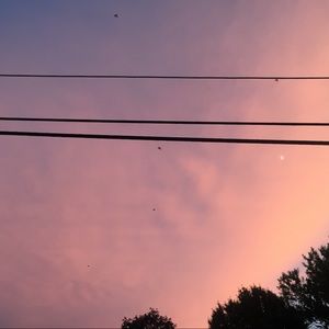 Meet your Posher, Allyson